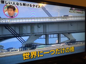 徳島県しらさぎ大橋