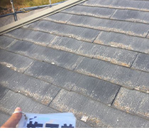 ニチハ パミール