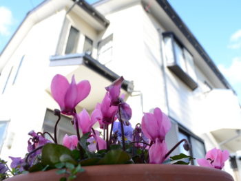 徳島県　板野郡　北島町　屋根塗装　外壁塗装　株式会社中山コーティング　花