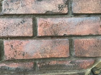 スタンプコンクリート 徳島県 職人