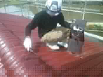 那賀町 株式会社中山コーティング 中山 納屋