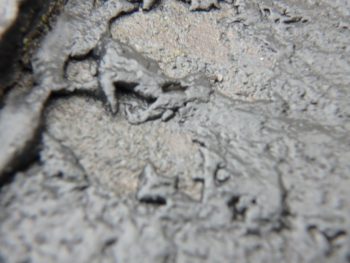 徳島　外壁塗装　中山コーティング　塗り分け　屋根塗装