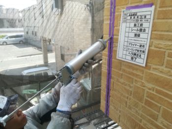 徳島　塗り替え　中山コーティング　ガイソー　イクシード