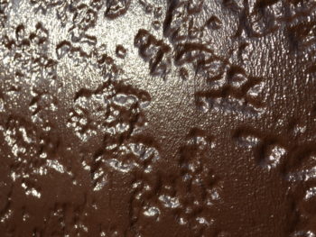 徳島　外装　中山コーティング　塗装