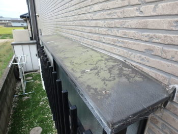 徳島　板野郡　塗装　苔