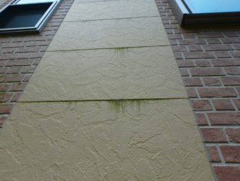 苔 徳島 塗装 中山コーティング 塗り替え