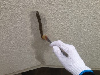 徳島　プライマー塗布　中山コーティング　塗装　塗り替え