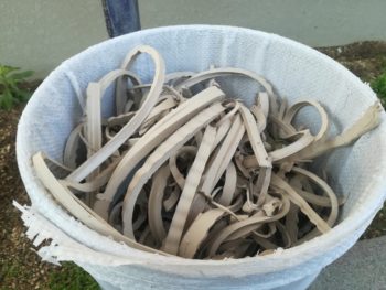 徳島 塗装 中山コーティング GAINA シーリング