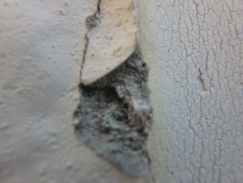 徳島 中山コーティング ダイヤカレイド 塗り替え