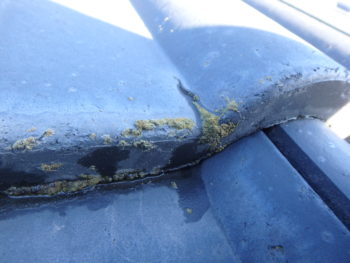 徳島　中山コーティング　外壁塗装　WB多彩仕上工法