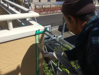 徳島　塗装　中山コーティング　ファインパーフェクトベスト　コーキング