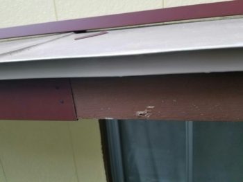 徳島市　カバー工法　ガルバリウム鋼板