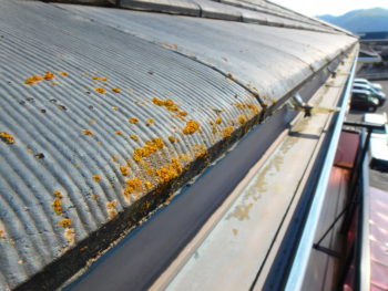 屋根塗装 徳島市 モニエル瓦