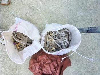 コークング　吉野川市