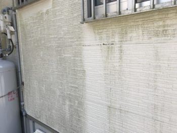 那賀郡 外壁劣化 苔