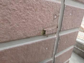 外壁劣化　鳴門市　塗装