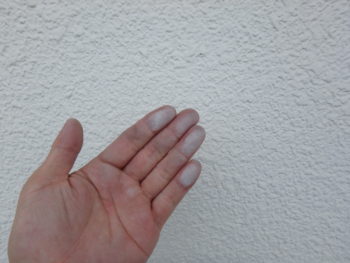 徳島　雨漏り　塗装