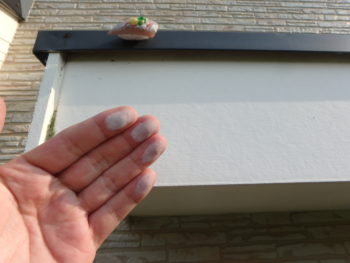 鳴門　徳島　塗り替え