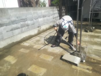 苔　洗浄　徳島