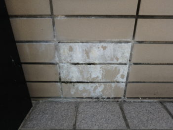 タイル　エフロ　除去　阿南市