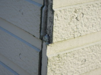 塗装　南あわじ　塗装　張替え