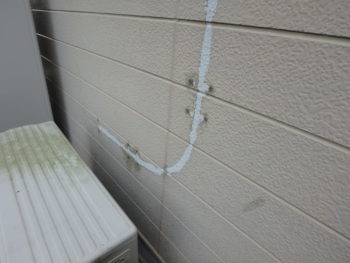 鳴門市　塗装　外壁