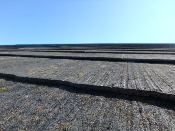 徳島市　屋根　コケ　被害