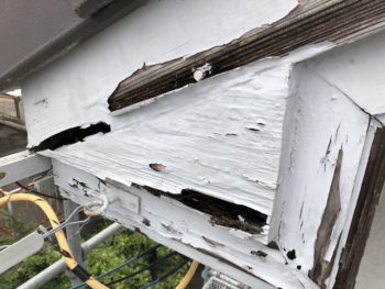 GAISO　徳島　塗装　大工工事