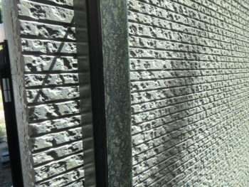 徳島県　施工前　外壁　塗装　藻