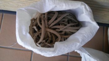 コーキングを打ち替えると産廃が出ます。