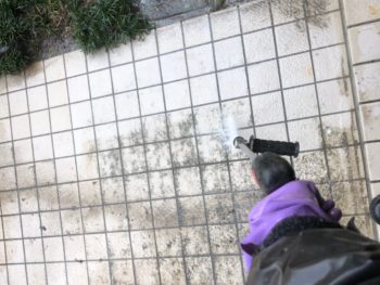 玄関　住宅　洗浄　徳島