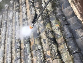 洗浄　屋根　徳島県　阿南市　苔