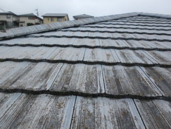 屋根　徳島　劣化　カビ　板野