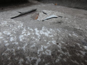 ベランダ　塗膜　剝離　板野　徳島