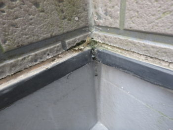 外壁　シーリング　塗装　徳島市