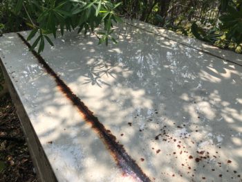 洗浄　天井　徳島県