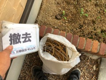 コーキング 撤去 土嚢袋 徳島県 中島田