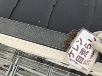 屋根　鉄部　ケレン　徳島県