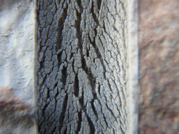 施工前　コーキング　劣化　破断　徳島県