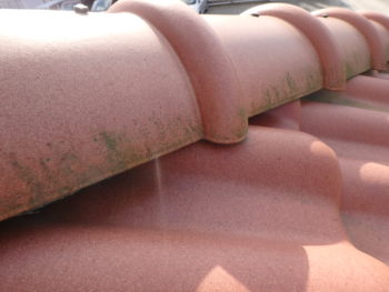 屋根 棟瓦 苔 徳島県 中島田