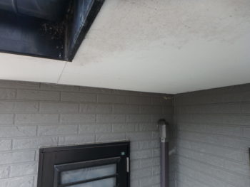 施工前　付帯部　軒天井　徳島県　鳴門市