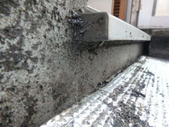 施工前　ベランダ　苔　カビ　徳島県