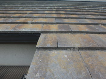 施工前　屋根　苔　徳島県　国府町