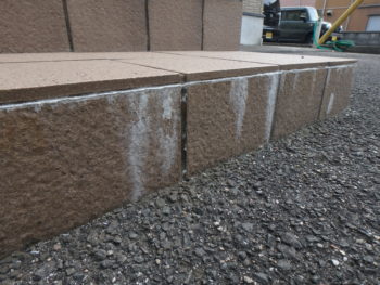 施工前　玄関　タイル　エフロ　徳島県