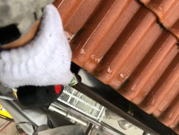 洗浄 雨樋 徳島県 中島田