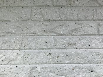 徳島県　鮎喰町　施工後　外壁