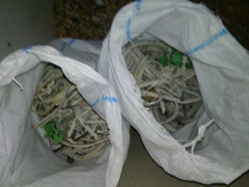 徳島県　小松島市　コーキング　土嚢