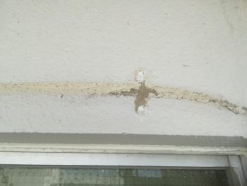 徳島県 南昭和町 下地処理 ビス穴 コーキング