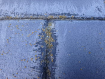 徳島県　南沖洲町　施工前　屋根　アップ