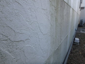 徳島県 小松島市 施工前 外壁 苔